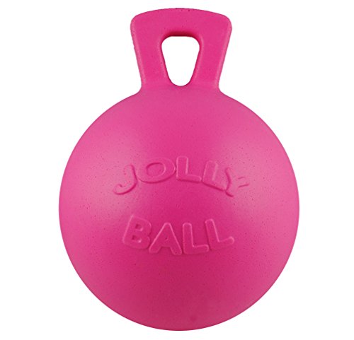 Jolly Ball Horsemen 's Pride 25,4 cm Pferd Bubble Gum Duft, Rose von Jolly Pets