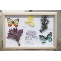 Herbarium Getrocknete Natur Blume Pvc Schmetterling Rahmen Wanddekoration, Wandrahmen, Getrocknete Blumen Rahmen, Geschenk Für Natürliche von JollycraftDesign