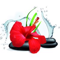 Flexicover Heizkörperverkleidung 60cm x 60cm, Orchidee von Jollytherm