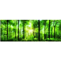 Flexicover Heizkörperverkleidung 60cm x 80cm, Wald von Jollytherm