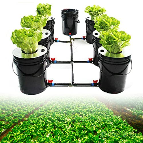 Jolre Hydroponische DWC Growing System Kit, Indoor Hydroponic Growing System, Home and Kitchen Hydroponic Growing System mit 20L Eimer. Jolre Hydroponische DWC Growing System Kit, Indoor Hydroponic Growing System, Home and Kitchen Hydroponic Growing System mit 20L Eimer. von Jolre