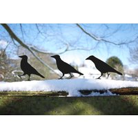 Garten Krähe Raben Ornament, Vogel Gartenstecker Aus Metall von JolyonYates