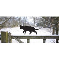 Gartenkatze, Metall Katze Im Freien, Vogelscheuche von JolyonYates
