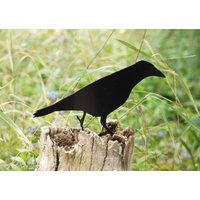 Gartenvogel, Rabe 3 Metall Vogel Garten Sicherheit von JolyonYates