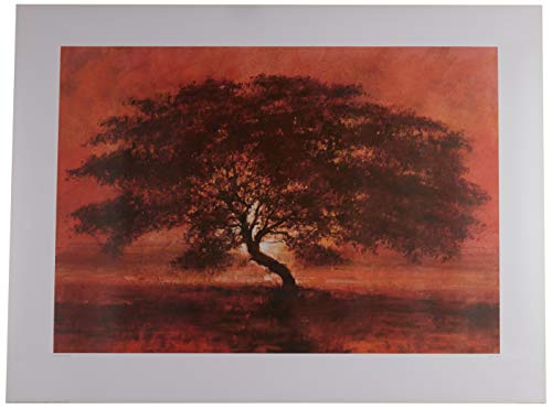 Jonathan Sanders Kunstdrucke, Papier, Mehrfarbig, 60 x 80 cm Jonathan Sanders Kunstdrucke, Papier, Mehrfarbig, 60 x 80 cm von Jonathan Sanders