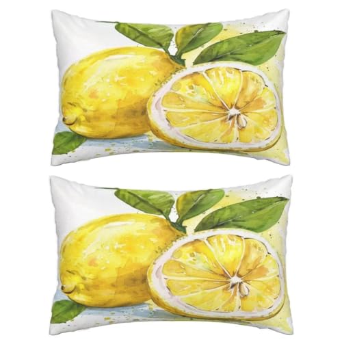 Kissenbezug 40 x 60 cm Zitrone Kissen, Sofakissen Superweicher Kopfkissenbezug Dekorative Kissenbezüge (2er Set) Kissenhülle mit ReißVerschluss Deko Kissen für Couch Wohnzimmer Schlafzimmer Gelb J200 von Jonceen