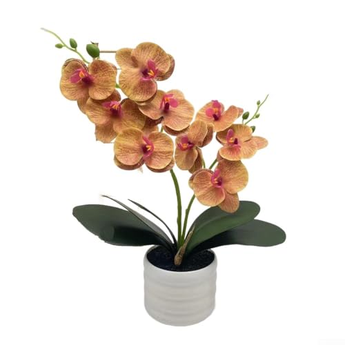 Jonikuper Künstliche Orchidee in Vase, künstliche Phalaenopsis-Blume, für Küche, Tische, Tafelaufsätze, Badezimmer-Regaldekoration (gelb) von Jonikuper