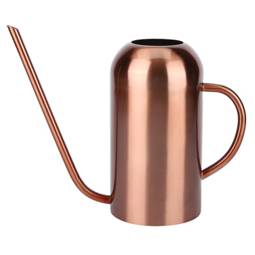 Jooehyer 1,5 L Gießkanne, Pflanzengießkanne, Edelstahl, Langer Ausguss, Gießkanne für Gartenblumen, Pflanzen, Bewässerungswerkzeug Jooehyer 1,5 L Gießkanne, Pflanzengießkanne, Edelstahl, Langer Ausguss, Gießkanne für Gartenblumen, Pflanzen, Bewässerungswerkzeug von Jooehyer