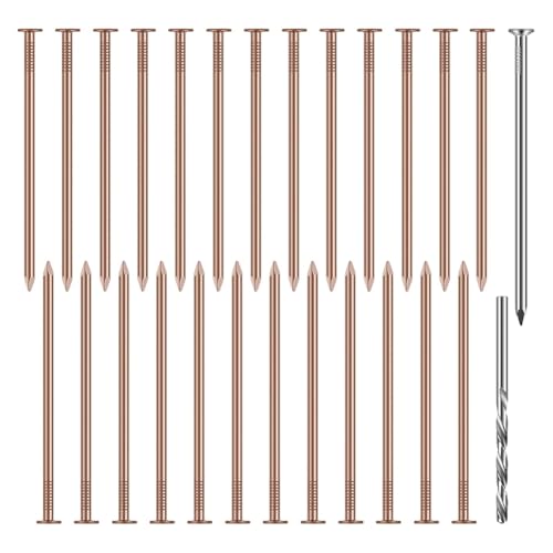 Jooehyer Kupfernägel-Set, 3,5-Stumpfentfernungsspikes, Nägel Aus Reinem Kupfer, Stumpfentfernungswerkzeug für Baumstümpfe und Landschaftsbau Jooehyer Kupfernägel-Set, 3,5-Stumpfentfernungsspikes, Nägel Aus Reinem Kupfer, Stumpfentfernungswerkzeug für Baumstümpfe und Landschaftsbau von Jooehyer