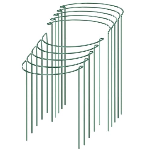 Jooehyer Pflanzenstützpfahl für Den Garten, Robuster, Miteinander Verbundener, Halbrunder Pfingstrosen-Stützringkäfig, Pflanzenstützgestell (10 Stück) von Jooehyer