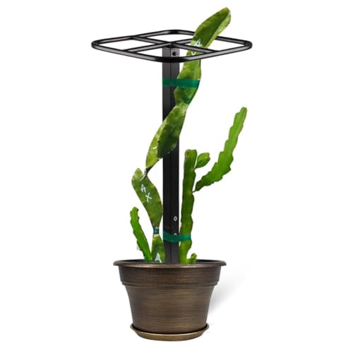 Jooehyer Premium Dragon Obst Gitter Dauernde Metallschnalel für Vertikale Garten- und von Jooehyer