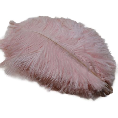 Jooehyer Straußenfedern Bühnenaufführungen Handgefertigter DIY-Schmuck Dekorationen Hellrosa von Jooehyer