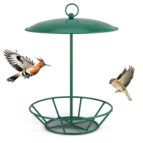 Futterspender für Talg, zylinderförmig, S-6-2, Samenkuchen-Futterspender aus Metall, zum Aufhängen, Garten, Hinterhof, Outdoor, Wildvogelfütterung, Grün Futterspender für Talg, zylinderförmig, S-6-2, Samenkuchen-Futterspender aus Metall, zum Aufhängen, Garten, Hinterhof, Outdoor, Wildvogelfütterung, Grün von Joottuan