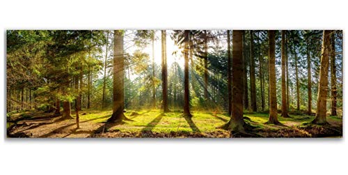 DIY 5D Diamant Malerei Bohren Voll Sets Wald Sonnenuntergang Große Diamond Painting Bilder Stickerei Kits Kristall Strass Mosaik Kreuzstich Leinwand Handwerk Hause Dekor Square Drill 60x180cm 24x72in von Jooui