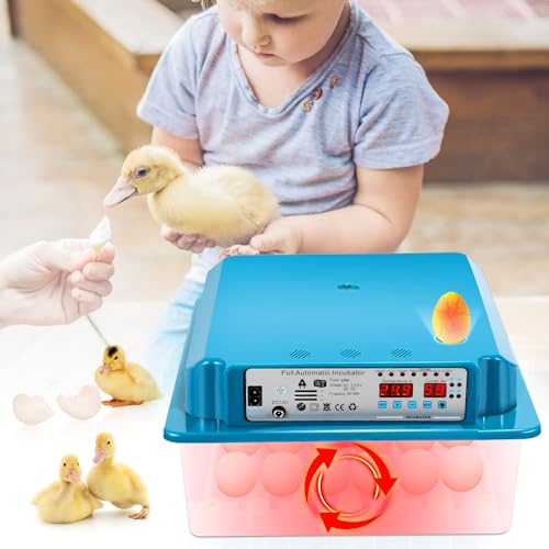 Jopassy Brutautomat Vollautomatisch, Brutmaschine für 36 Hühnereier, Inkubator mit Temperaturkontrolle und Feuchtigkeitsüberwachung für Hühnern, Enten, Wachteln von Jopassy