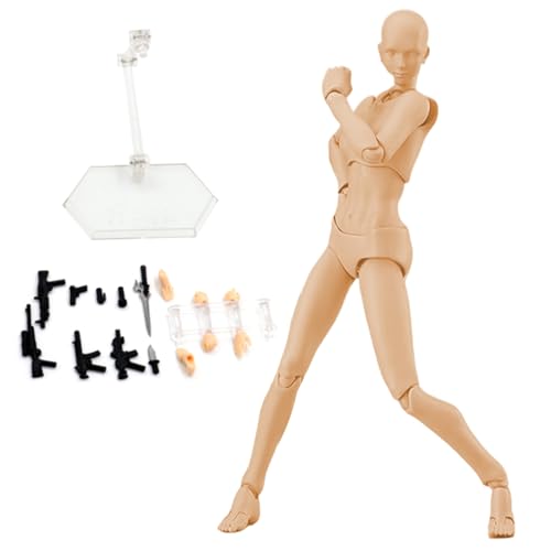 Actionfigur Gesten poable Figur Leichtes Zeichnen Schaufensterpuppen mit Standunterstützung ＆ Zubehör Zeichnung Modell für Künstler, die skizzieren, weibliche Kunstbedarf malen von Jorzer