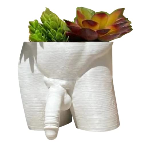 Body Form Pflanze Vase einzigartige Pflanzer Penis Vase Dekor lustige männliche Körper Pflanzer Penis Pflanzer Blume Pot Hausgarten Dekor Weiß von Jorzer