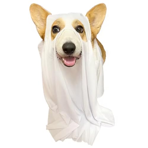 Hunde Halloween Kostüme Lustiges weißes Geisterhund -Hundekostüm mit 5 Löchern süßes Party -Kap für Halloween Cosplay Party Kostüme für Hunde. von Jorzer