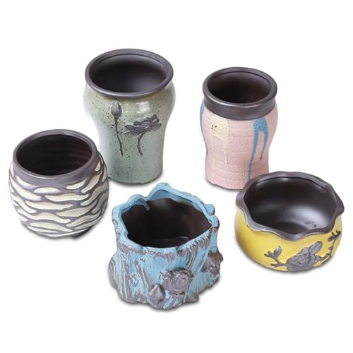 Jorzer Kleine Sukkulenten-Töpfe 5 Stück/Set Keramik-Sukkulenten-Pflanztopf süße Sukkulenten-Töpfe mit Drainagelöchern Kleiner Blumentopf für den Innen- und Außenbereich von Jorzer