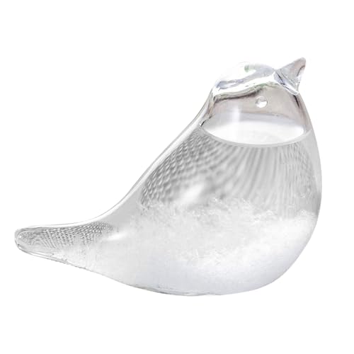 Jorzer Sturmglas Wettervorhersage Kristall Wettervorhersage Flasche Wettervorhersage Sturmglas Sturmbarometer Wetterglas Tischplatte Vogel Dekor Barometer Glas Jorzer Sturmglas Wettervorhersage Kristall Wettervorhersage Flasche Wettervorhersage Sturmglas Sturmbarometer Wetterglas Tischplatte Vogel Dekor Barometer Glas von Jorzer