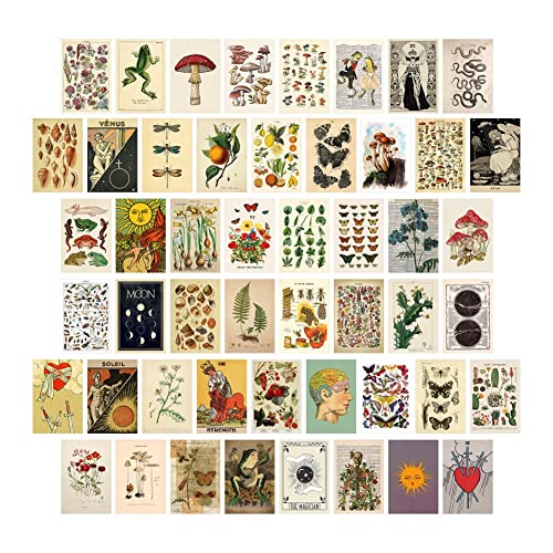Josenidny 50 StüCke Vintage Botanisches Tarot ÄSthetische Wand Collage Satz & Insekten Illustration Kunst Karte Dekor von Josenidny