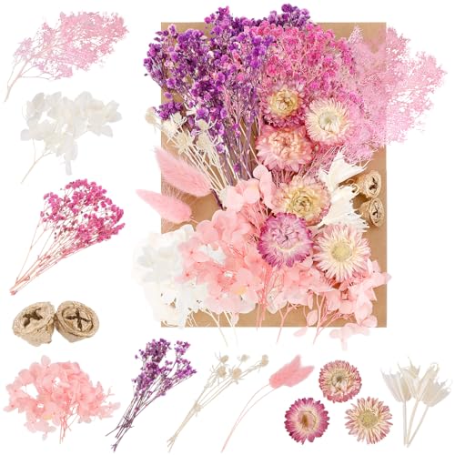 Getrocknete Trockenblumen,Trockenblumen zum Basteln Natürliche Getrocknete Blumen Straus Gemischte DIY Getrocknet Blumen Set für DIY Karten Harz Handwerk Karten Machen und Scrapbooking Deko- Lila von Jostift