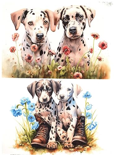Josys Bastelmärchen Reispapier A4 Strohseide Dalmatiner Welpe Hund Stiefel auf Blumenwiese RE4404 von Josys Bastelmärchen