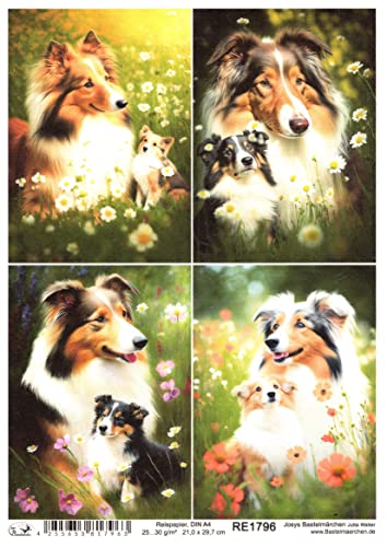 Josys Bastelmärchen Reispapier A4 Strohseide Decoupage Hunde Hund Collie auf Blumenwiese RE1796 von Josys Bastelmärchen