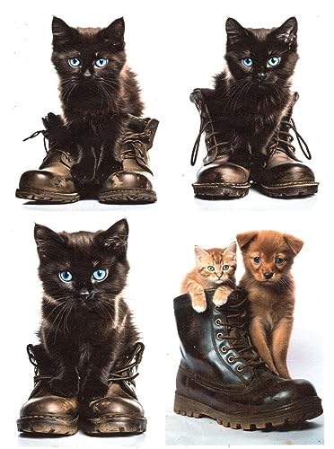 Josys Bastelmärchen Reispapier A4 Strohseide Decoupage Kätzchen Katze Stiefel Hund Welpe RE4413 von Josys Bastelmärchen