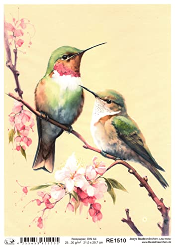 Josys Bastelmärchen Reispapier A4 Strohseide Decoupage Kolibri auf AST Kirschblüten Zweig RE1510 von Josys Bastelmärchen