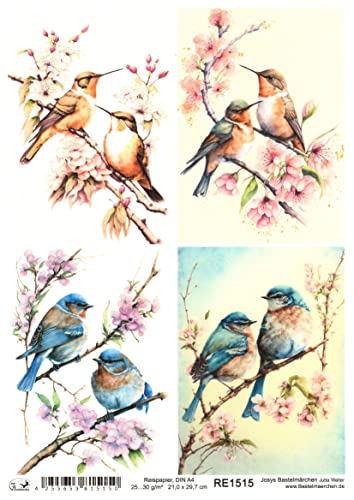 Josys Bastelmärchen Reispapier A4 Strohseide Decoupage Kolibri auf AST Kirschblüten Zweig RE1515 Josys Bastelmärchen Reispapier A4 Strohseide Decoupage Kolibri auf AST Kirschblüten Zweig RE1515 von Josys Bastelmärchen