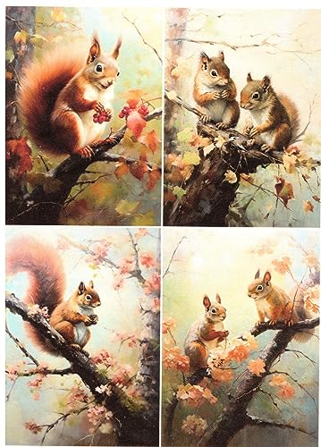 Josys Bastelmärchen Reispapier A4 Strohseide Decoupage Serviertentechnik Eichhörnchen RE4375 von Josys Bastelmärchen