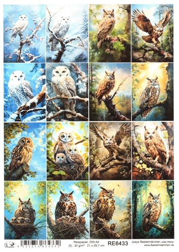 Josys Bastelmärchen Reispapier A4 Strohseide Decoupage Serviertentechnik Eulen Uhu kl. Bilder RE6433 Josys Bastelmärchen Reispapier A4 Strohseide Decoupage Serviertentechnik Eulen Uhu kl. Bilder RE6433 von Josys Bastelmärchen