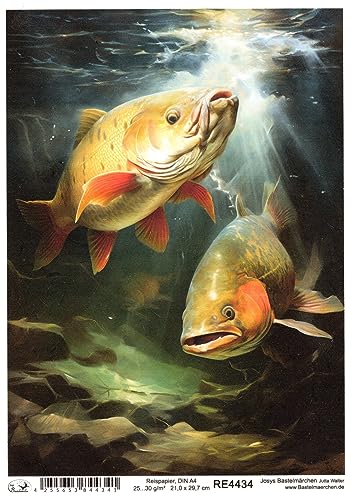 Josys Bastelmärchen Reispapier A4 Strohseide Decoupage Serviertentechnik Fische Karpfen RE4434 Josys Bastelmärchen Reispapier A4 Strohseide Decoupage Serviertentechnik Fische Karpfen RE4434 von Josys Bastelmärchen