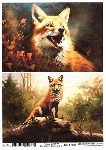 Josys Bastelmärchen Reispapier A4 Strohseide Decoupage Serviertentechnik Fuchs Natur RE4352 von Josys Bastelmärchen
