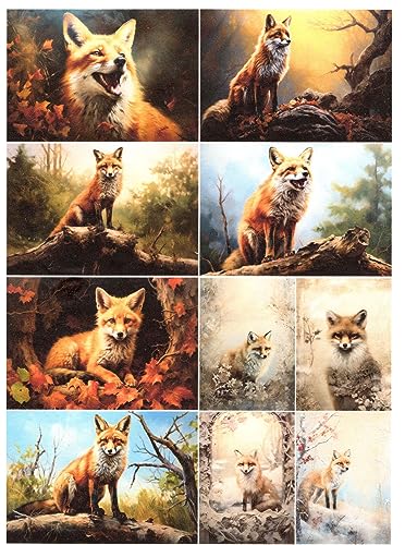 Josys Bastelmärchen Reispapier A4 Strohseide Decoupage Serviertentechnik Fuchs Natur RE4392 von Josys Bastelmärchen