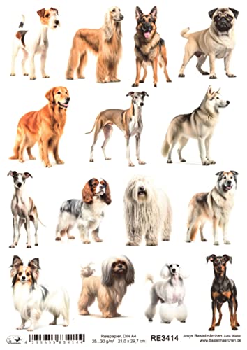 Josys Bastelmärchen Reispapier A4 Strohseide Decoupage Serviertentechnik Hund Hunde Welpen RE3414 Josys Bastelmärchen Reispapier A4 Strohseide Decoupage Serviertentechnik Hund Hunde Welpen RE3414 von Josys Bastelmärchen
