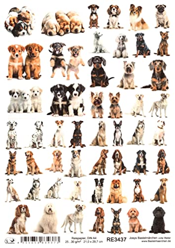 Josys Bastelmärchen Reispapier A4 Strohseide Decoupage Serviertentechnik Hund Hunde Welpen RE3437 von Josys Bastelmärchen