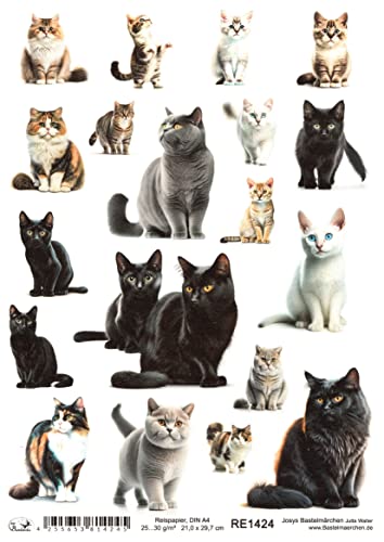 Josys Bastelmärchen Reispapier A4 Strohseide Decoupage Serviertentechnik Katzen Katze RE1424 von Josys Bastelmärchen