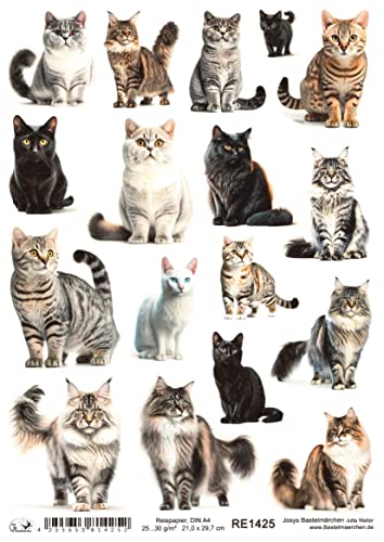 Josys Bastelmärchen Reispapier A4 Strohseide Decoupage Serviertentechnik Katzen Katze RE1425 von Josys Bastelmärchen