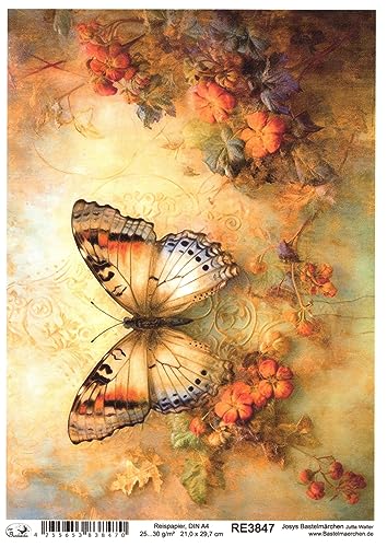 Josys Bastelmärchen Reispapier A4 Strohseide Decoupage Vintage Blumen Gold Schmetterling RE3847 von Josys Bastelmärchen