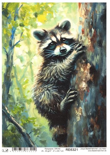 Josys Bastelmärchen Reispapier A4 Strohseide Decoupage Waschbär im Wald auf Baum RE6321 von Josys Bastelmärchen