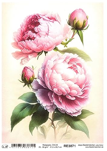 Josys Bastelmärchen Reispapier A4 Strohseide Decoupage rosa pink Blumen Pfingstrosen RE3871 Josys Bastelmärchen Reispapier A4 Strohseide Decoupage rosa pink Blumen Pfingstrosen RE3871 von Josys Bastelmärchen