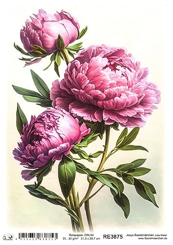 Josys Bastelmärchen Reispapier A4 Strohseide Decoupage rosa pink Blumen Pfingstrosen RE3875 von Josys Bastelmärchen