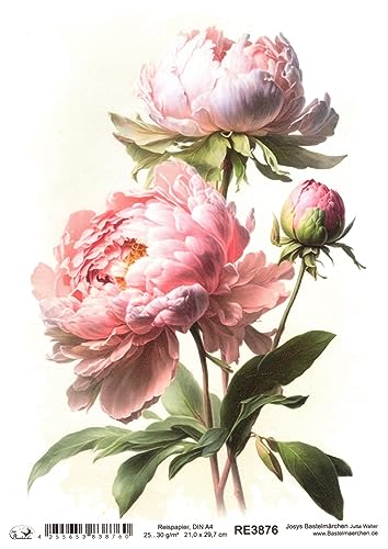 Josys Bastelmärchen Reispapier A4 Strohseide Decoupage rosa pink Blumen Pfingstrosen RE3876 Josys Bastelmärchen Reispapier A4 Strohseide Decoupage rosa pink Blumen Pfingstrosen RE3876 von Josys Bastelmärchen