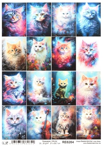 Josys Bastelmärchen Reispapier A4 Strohseide Decoupage süße Katze Katzen Neon Blumen RE6264 von Josys Bastelmärchen