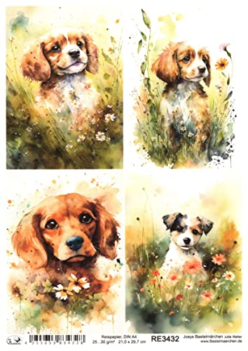 Josys Bastelmärchen Reispapier A4 Strohseide Decoupage süße Welpen auf Blumenwiese, Hunde RE3432 von Josys Bastelmärchen