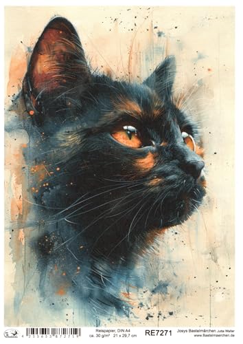 Josys Bastelmärchen Reispapier DIN A4 Strohseide Decoupage Motiv süße Katze RE7271 von Josys Bastelmärchen