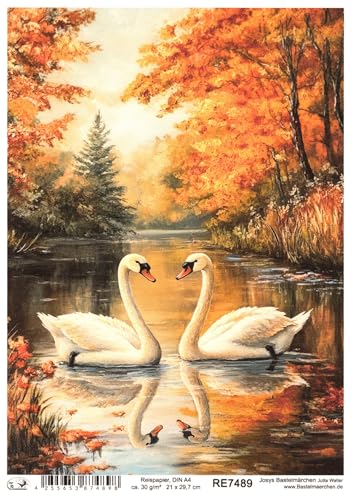 Josys Bastelmärchen Reispapier DIN A4 Strohseide Decoupage Schwanenpaar Schwan Schwäne Teich RE7489 von Josys Bastelmärchen