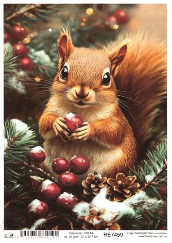 Josys Bastelmärchen Reispapier DIN A4 Strohseide Decoupage Weihnachten Eichhörnchen Zapfen RE7459 von Josys Bastelmärchen